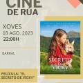 Cine de Rúa Castrelo de Miño