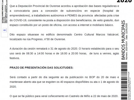 BANDO 14/2020: Subvencins en especie para autnomos e PEMES da provincia.