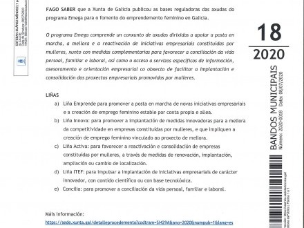 BANDO 18/2020: AXUDAS PROGRAMA EMEGA