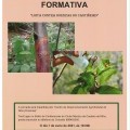 XORNADA FORMATIVA